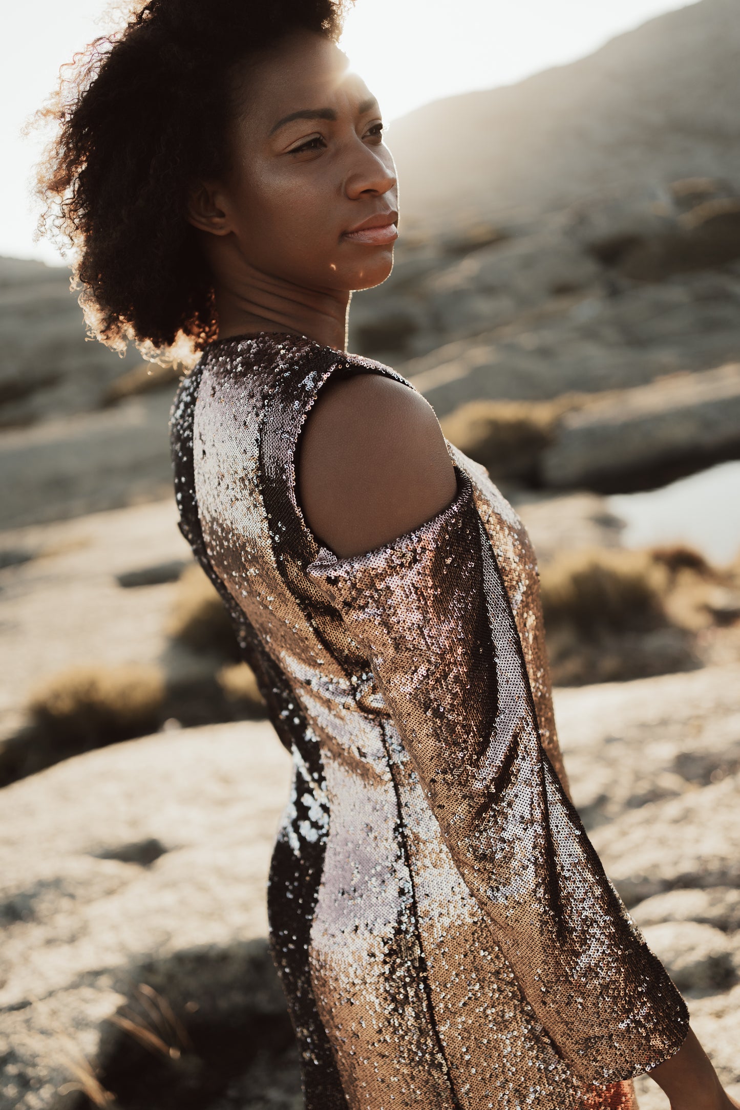 ANGELL DRESS